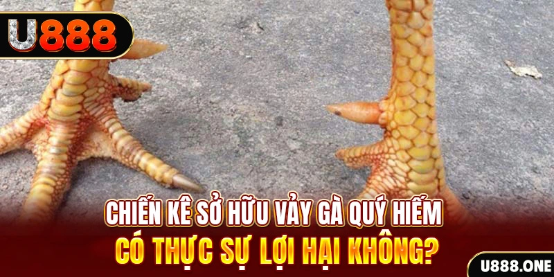 vn888 sòng bạc Đăng ký